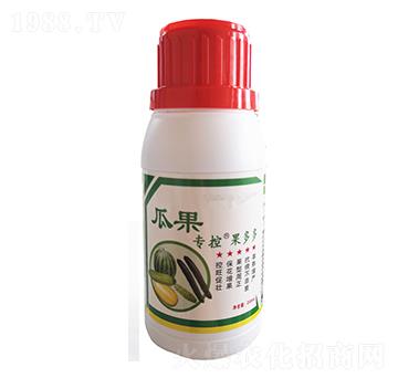 瓜類?？?果多多-苗哥農(nóng)化