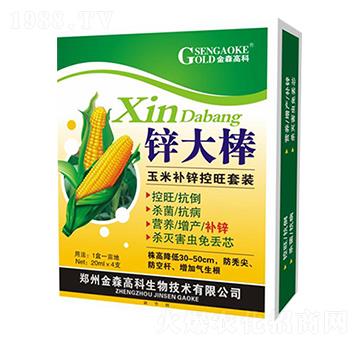 �\����M��-��ɭ�߿�