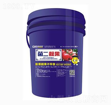 菌二靚果（膨果靚果不早衰）-金森高科