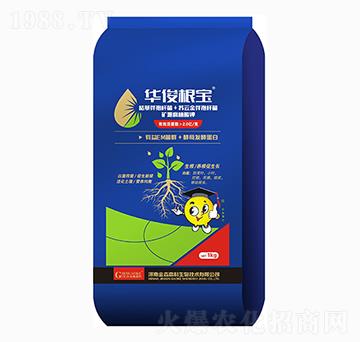 �A������-��ɭ�߿�