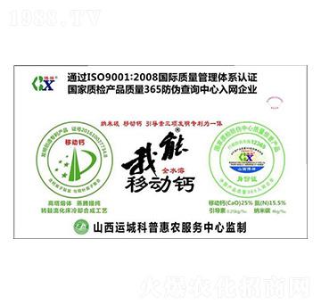 �����Ƅ��}�����{��̼��-��������