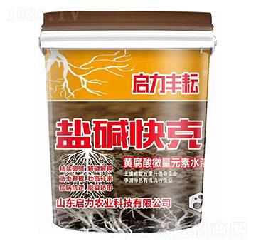 黃腐酸微量元素水溶肥 鹽堿快克 啟力農(nóng)業(yè)
