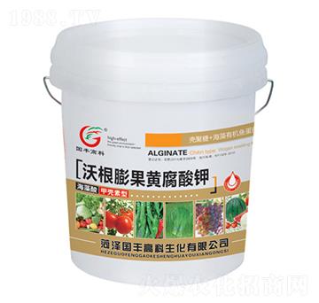 ����Һ�ָ�����S�����-��(gu��)�S�߿�