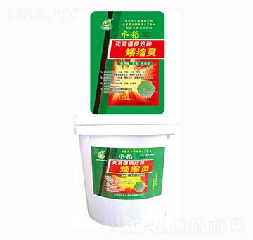 ˮ�����罩���������s�`-�A������