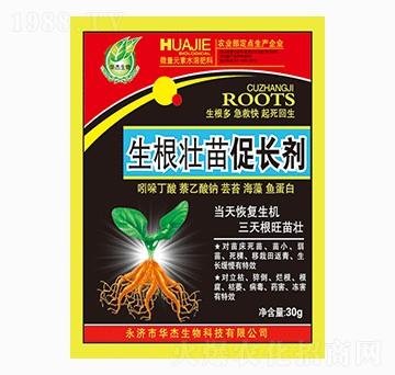 ����������L(zh��ng)��-�A������