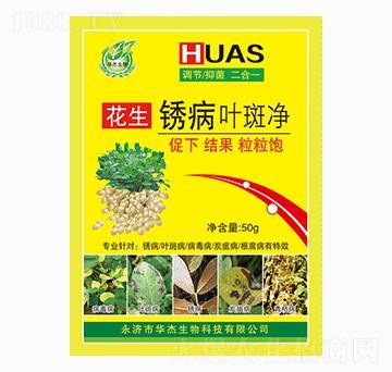 �����P���~�߃�-�A������