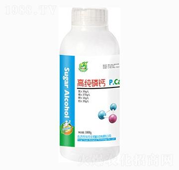 �߼����}-�A������