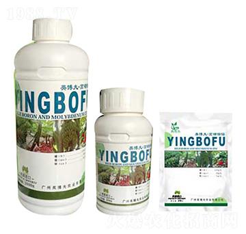 高硼鉬鋅 英博夫