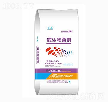 ΢�������-��ʥ-�|�SԴ