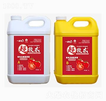 西紅柿專用水溶肥-一液發(fā)-匯豐農(nóng)業(yè)