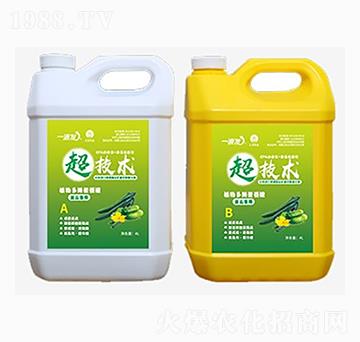 黃瓜專用水溶肥-一液發(fā)-匯豐農(nóng)業(yè)