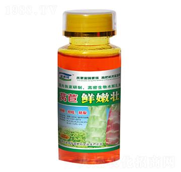 �n���r�ۉ�-��Դ��