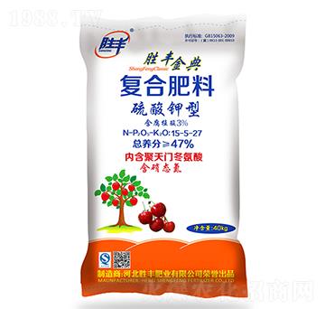 ������͏ͺϷ���15-