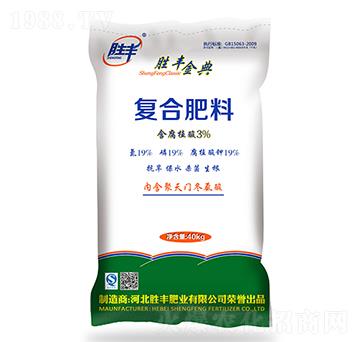 �ͺϷ���19-19-1