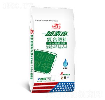 �ͺϷ���25-6-9-