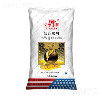 �ͺϷ���19-19-1