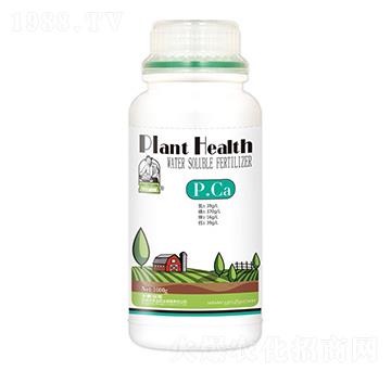 P.Ca-ʥ��ʘI(y��)