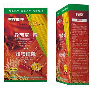 40%異丙草·莠+40克每升煙嘧磺隆-石在能莎-云鯤高科