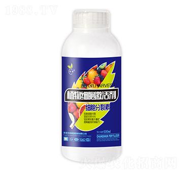 ֲ�：(x��)�����-��˲