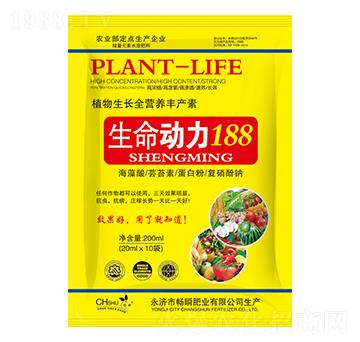 ������(d��ng)��188-��˲