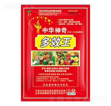 ��Ч��-��˲