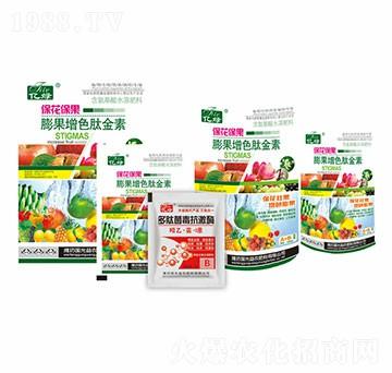 ����������L��ɫ��-��