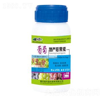 �������a(ch��n)�����-������