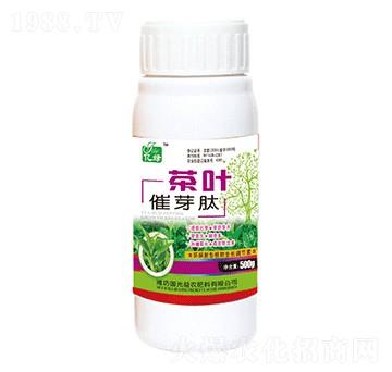 ���~��ѿ��-�������r(n��ng)