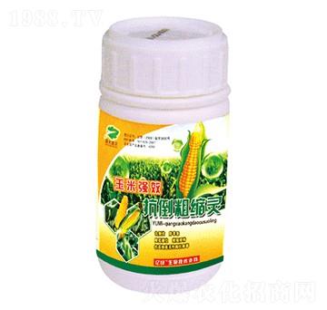 ���׿����ֿs�`-������