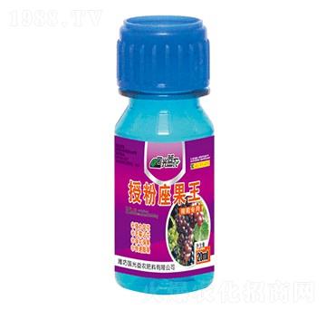 ���ь����ڷ�����������