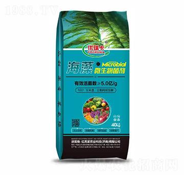 ����΢�������-��(y��u)��-�t����