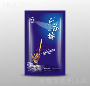 小麥作物技術(shù)解決策略-斤谷棒-圣勤農(nóng)業(yè)