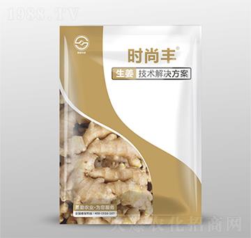 生姜技術(shù)解決方案-時(shí)尚豐-圣勤農(nóng)業(yè)