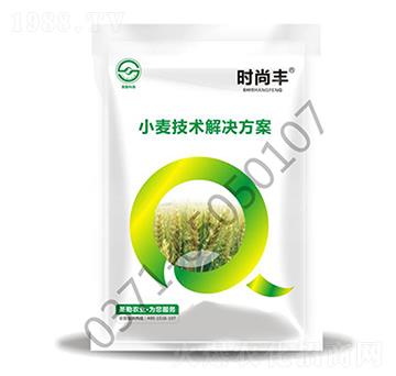 小麥技術(shù)解決方案-時(shí)尚豐-圣勤農(nóng)業(yè)