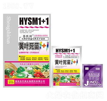 �S�~����1+1-ʥ�ϝ�