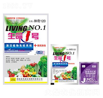 ����1̖A+B-ʥ�ϝ�