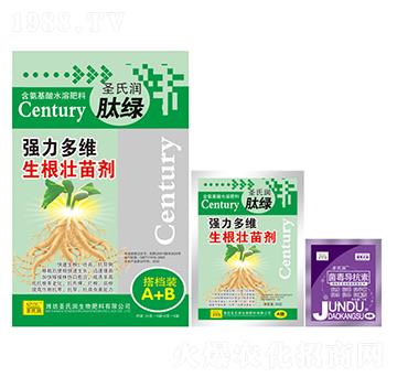 ������S�������焩����n�bA+B��-ʥ�ϝ�