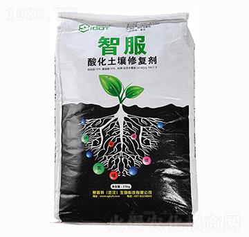 �ữ�����ޏ̈́�-�Ƿ�-