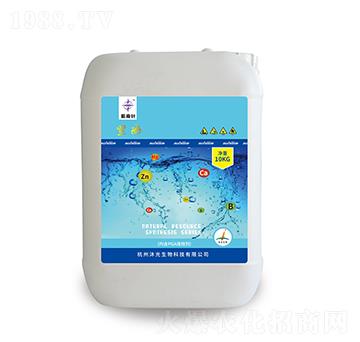 ����-����-�������