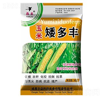 玉米矮多豐-豐益