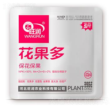 ��������-������-����