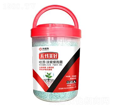 ���ġ��������߾�-�o(w��)��(xi��n)