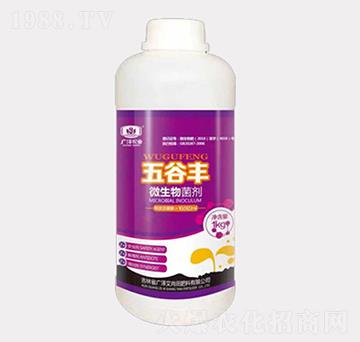 ΢�������-����S-�V�ɰ�����