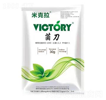 ����-�׿���-�S������