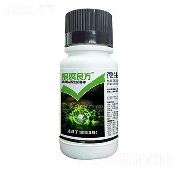 微生物菌劑-根腐良方-豆本豆