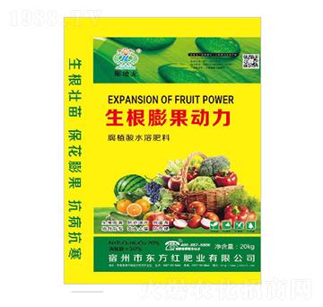 ���������(d��ng)��-�|���t