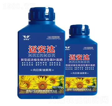 向日葵油葵新型超濃縮生物活性菌肥-邁安達(dá)