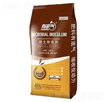 微生物菌劑-潤(rùn)田生物