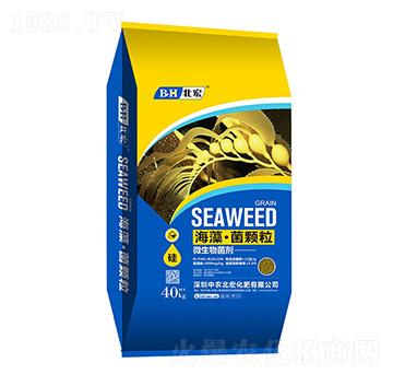 ���塤���w��-����