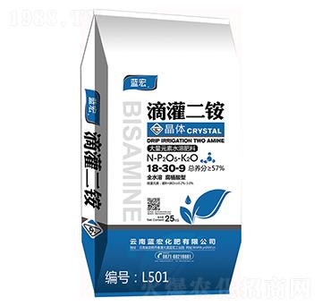 �S�����w���-�{��